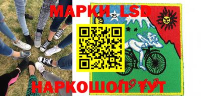 дживик Моздок