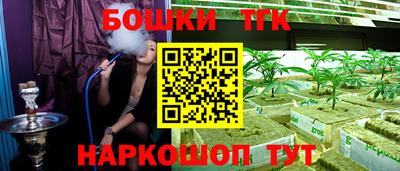 дживик Моздок