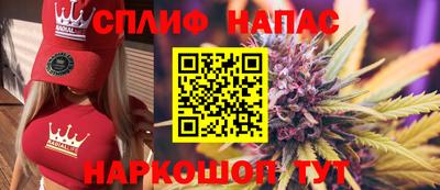 дживик Моздок