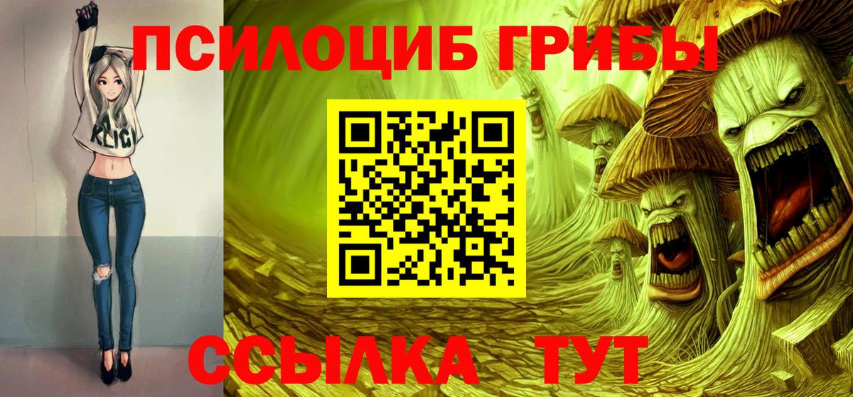 Псилоцибиновые грибы Cubensis Владивосток