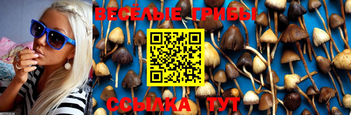 Псилоцибиновые грибы Psilocybine cubensis  Вход с VPN  цены наркотик  Владивосток 